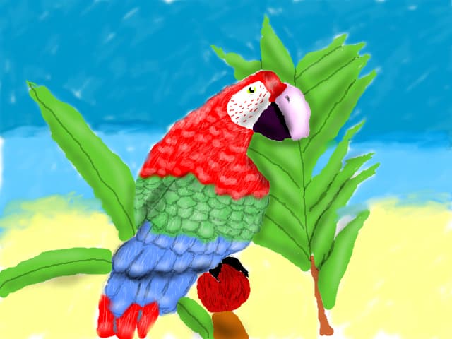 papagalul paco