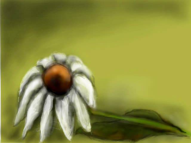 floare