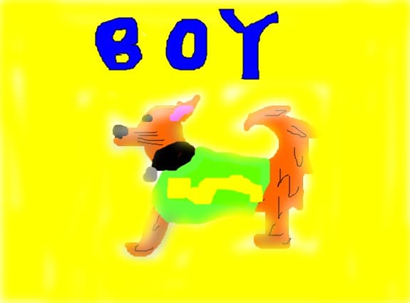 BOY