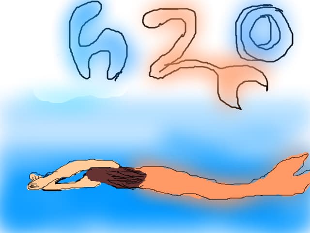 H2O