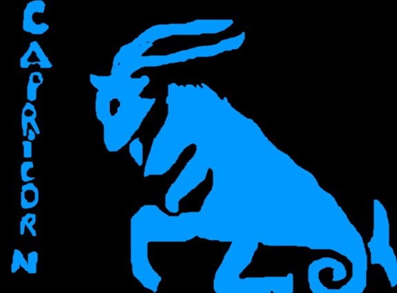 Zodia capricorn