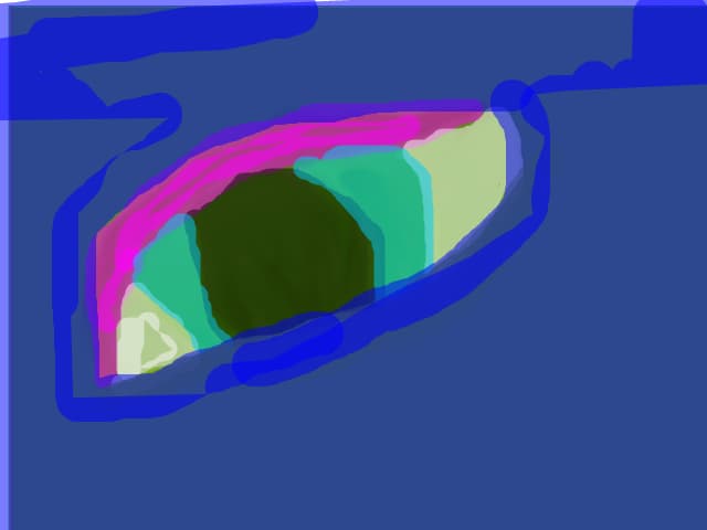 ochi