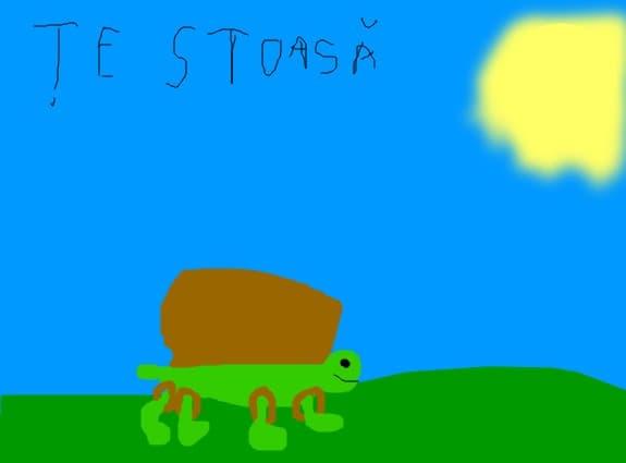 Broasca testoasa