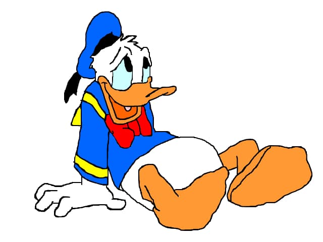 Donald DUck