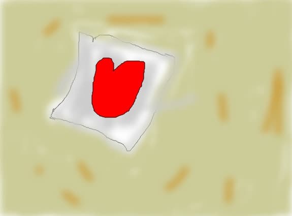 scrisoarea