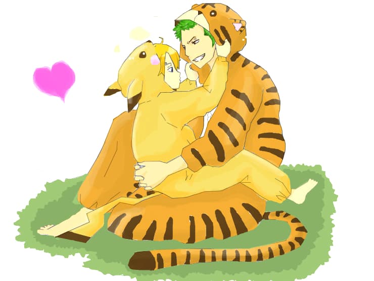 Zorro &amp; Sanji