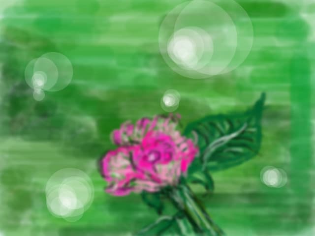 floricica