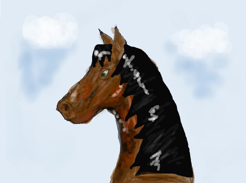 cal-horse