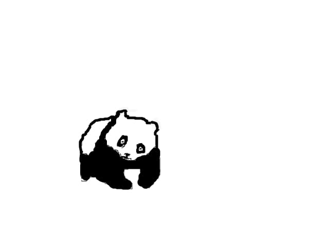 panda