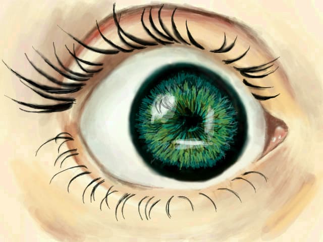 Eye