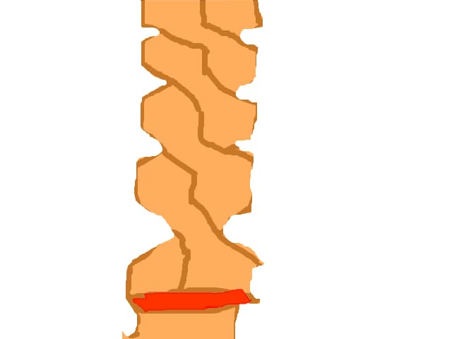 coada impletita