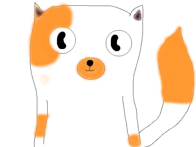 Cake the cat