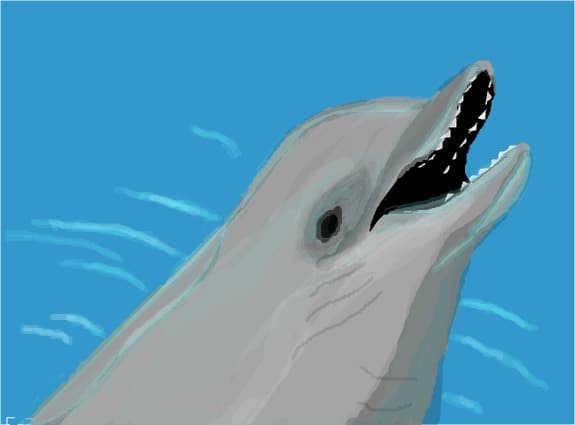 delfin