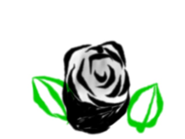 Noriss 8