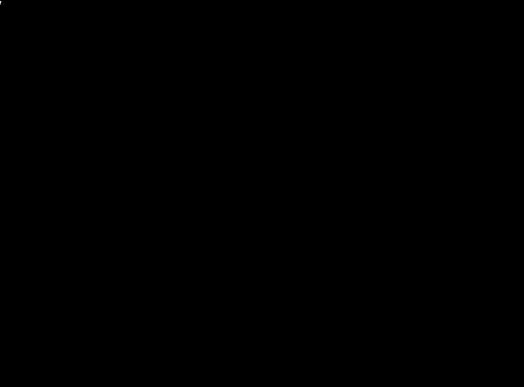 ploaie de stele- buchet de liliac