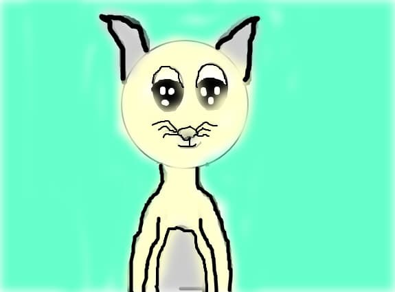 Tom