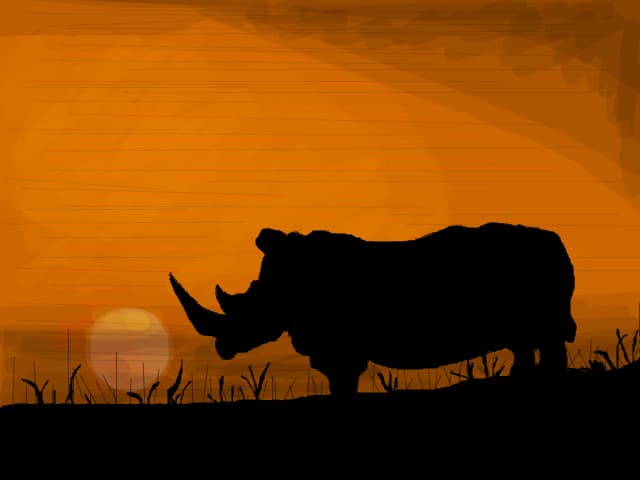 africa
