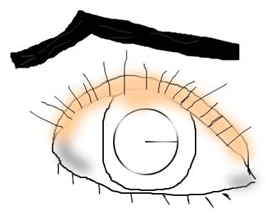 ochi