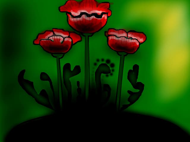 Flori