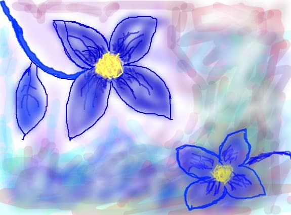 Florile pasiunii