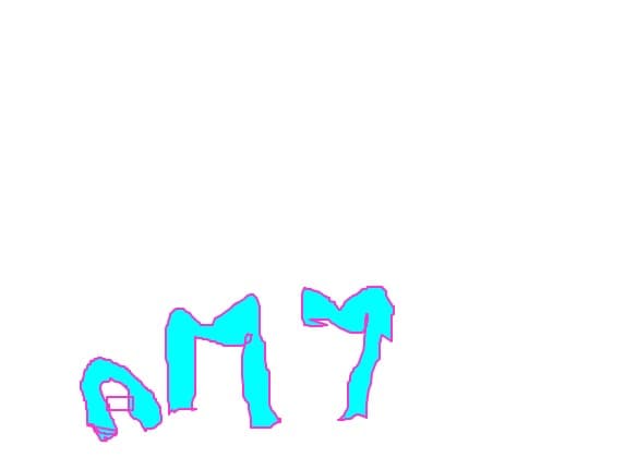 amy
