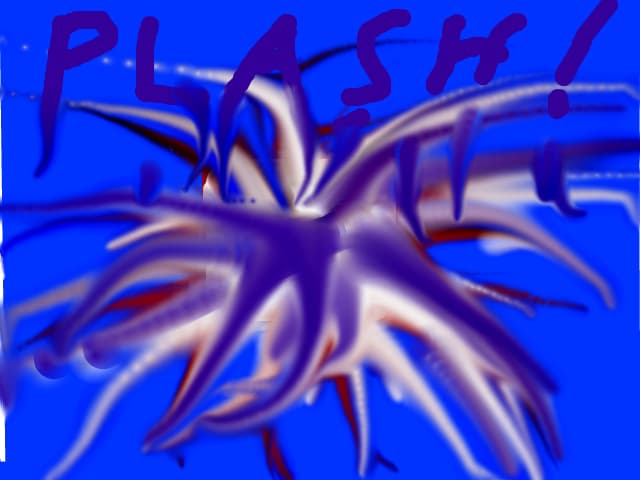 splash