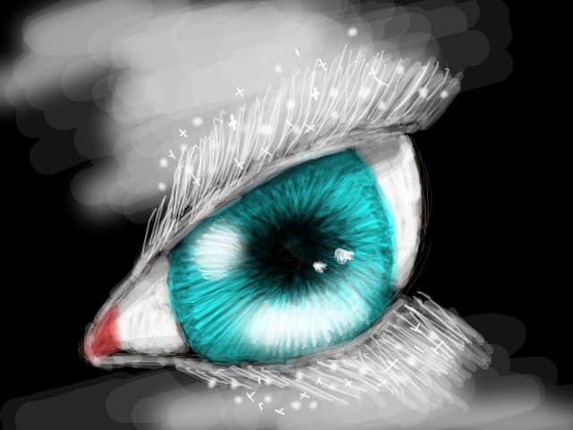 Eye