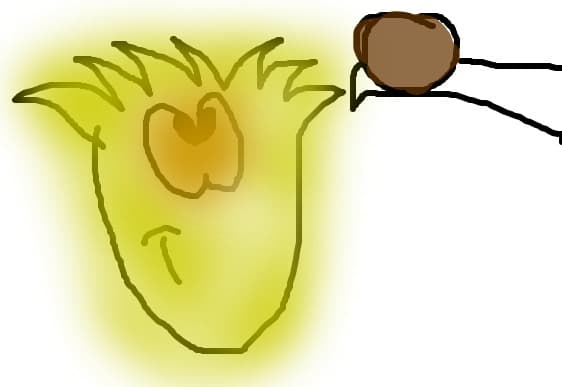 GoldieLocks Cookie!