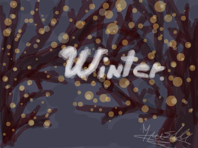 Winter lights.