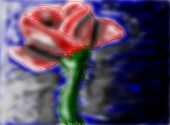 the beautiful rose