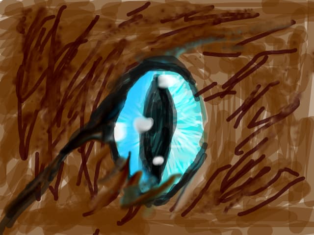 Cat eyes