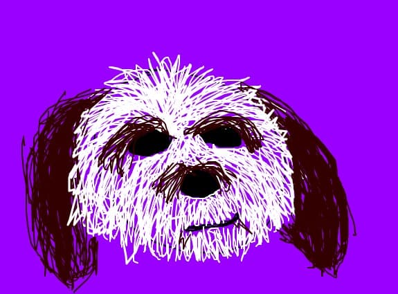 Duki