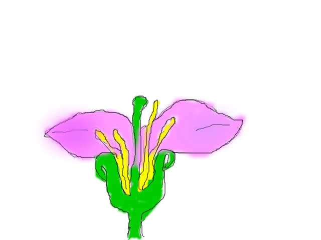 floare