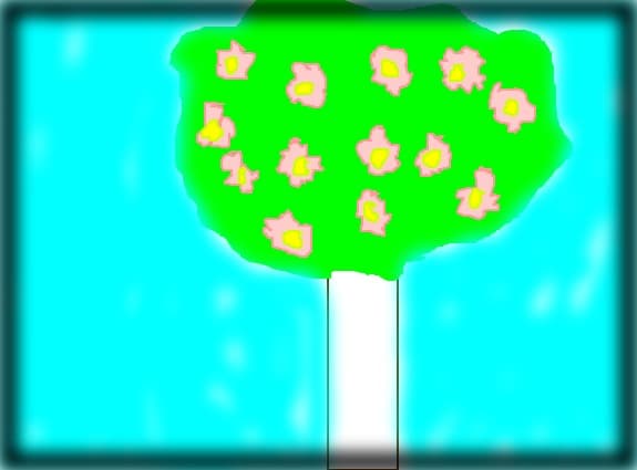 Cherry Blossom