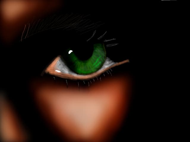 Eye