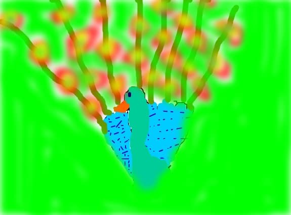 Paun multicolor