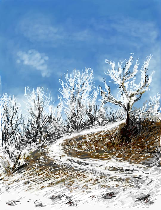 Winter