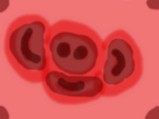 MAIMUTA