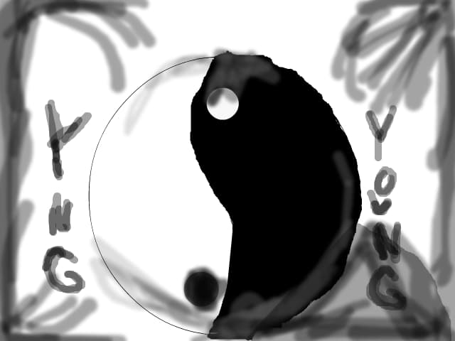 Sfera Ninja