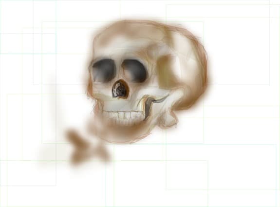skull
