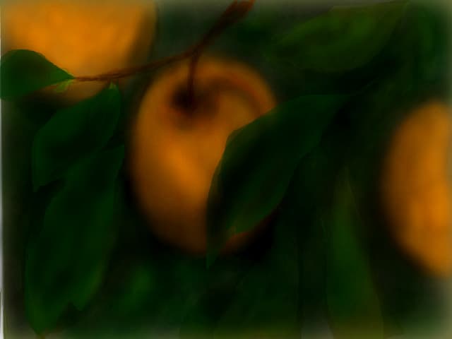 fructe
