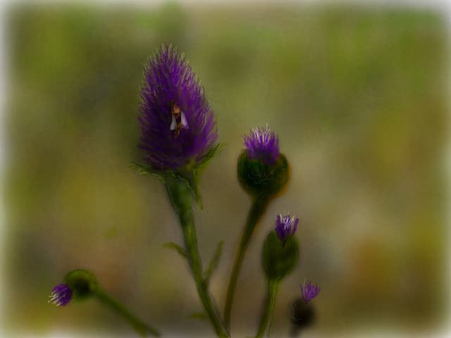 ...scaiet...