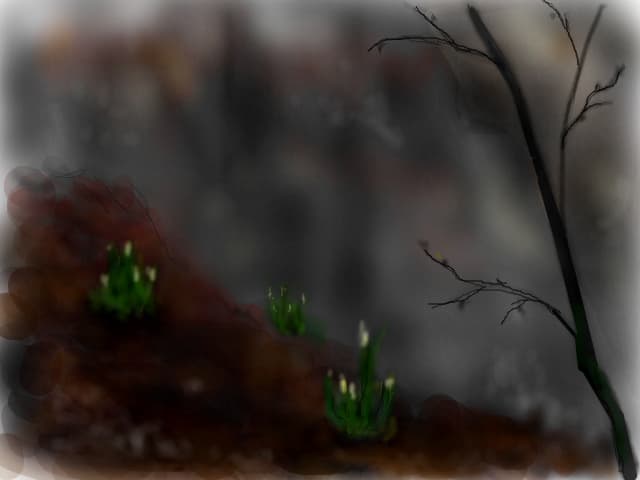 ....natura
