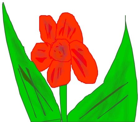 Floare