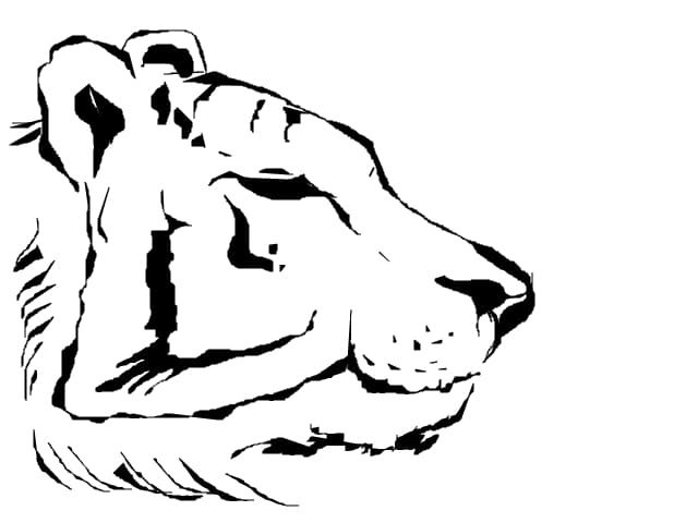 fds