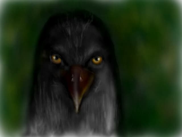 ...rapitor