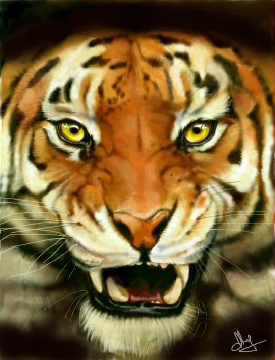ROAR