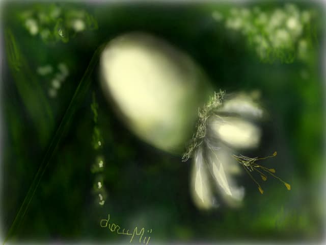 floare