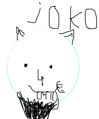 Joko