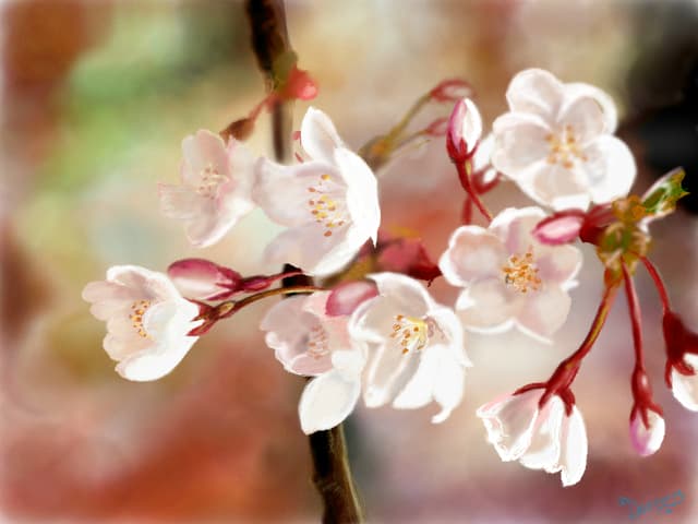 floricele
